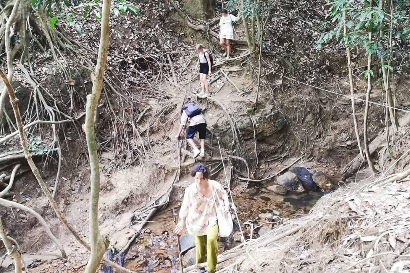 Long Trek + Teras Waterfall Taman Negara