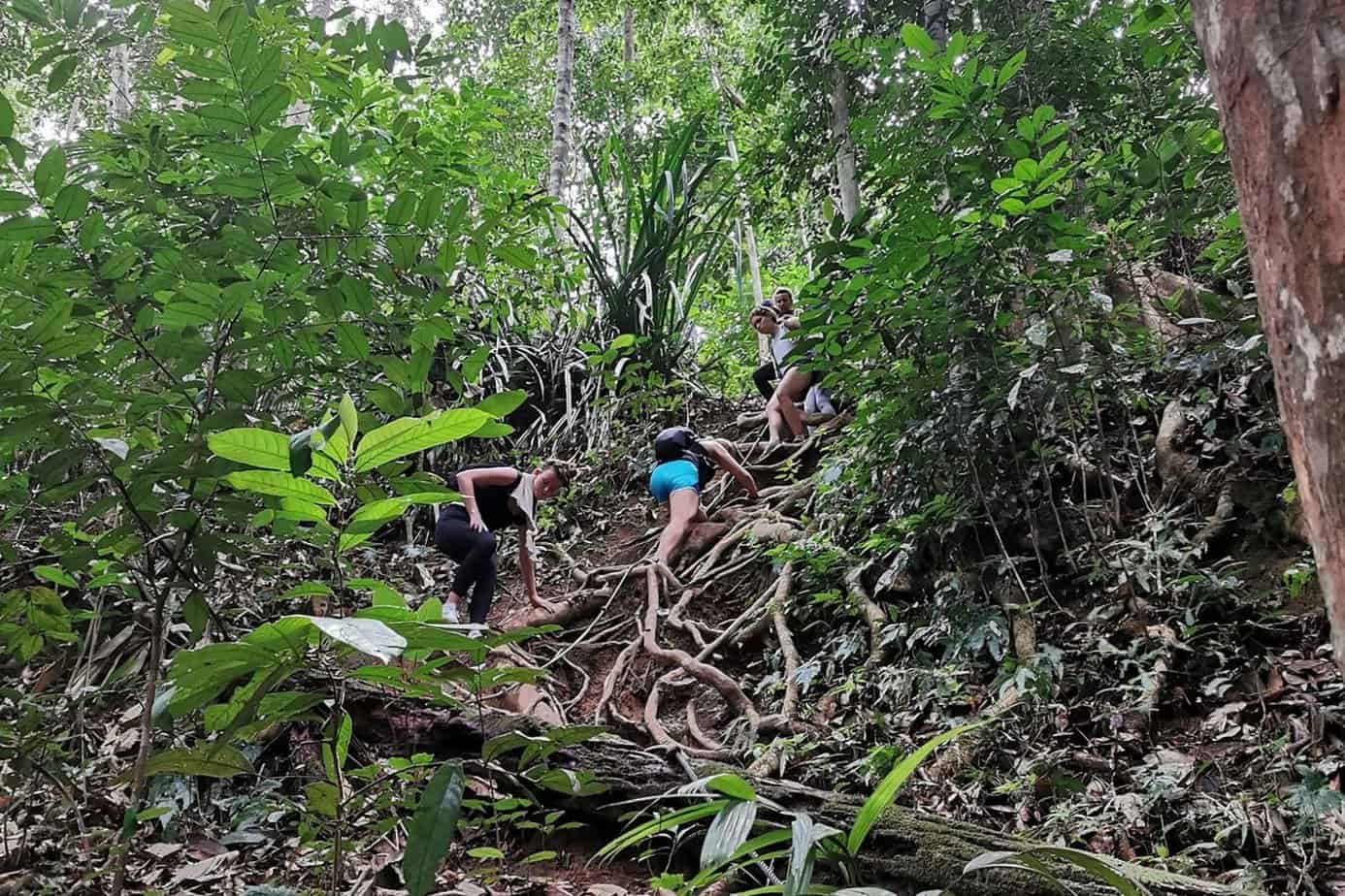 Long Trek + Teras Waterfall Taman Negara